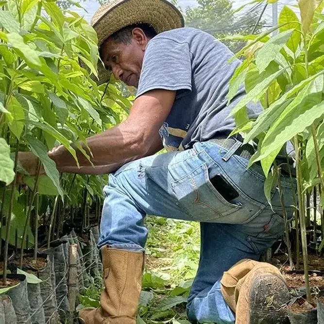 Contadino che lavora in un campo