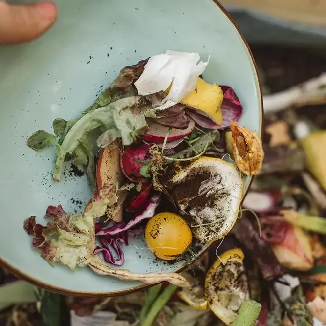 Piatto con verdure appena coltivate e sporche di terra